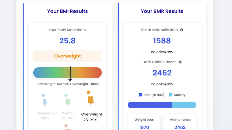 BMI-BMR Calculator Screenshot